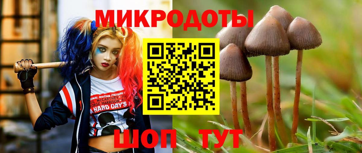 Псилоцибиновые грибы мицелий Можга